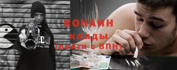 прущие грибы Дмитриев
