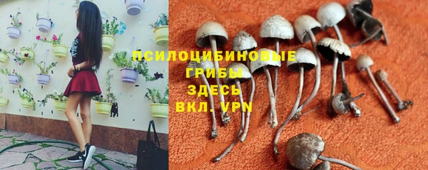 apvp Дмитровск