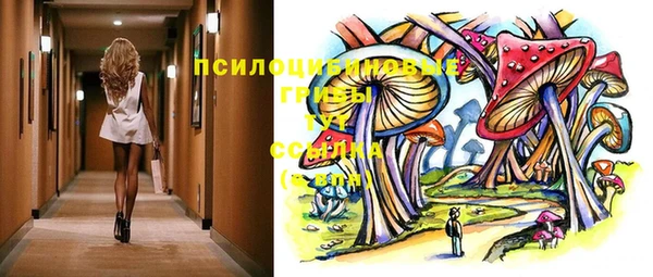 прущие грибы Дмитриев