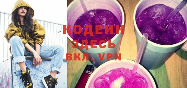 соль ск Ельня