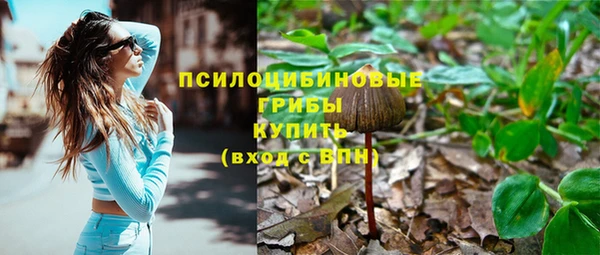 бошки Елизово