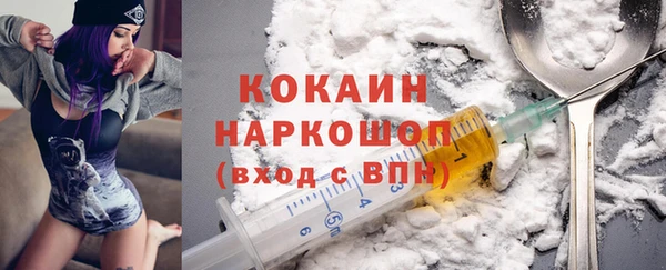 соль ск Ельня