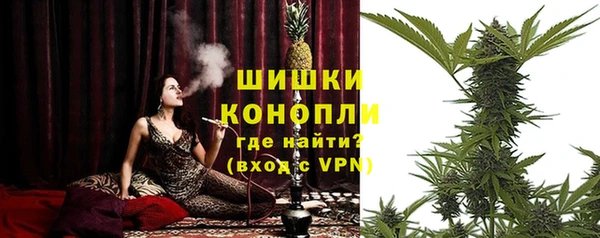 соль ск Ельня