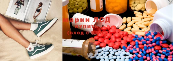 прущие грибы Дмитриев