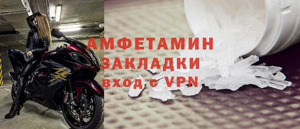 прущие грибы Дмитриев
