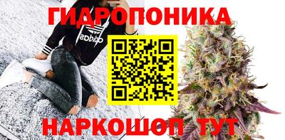 ECSTASY Бугуруслан