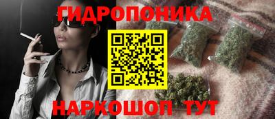 эйфоретик Бийск