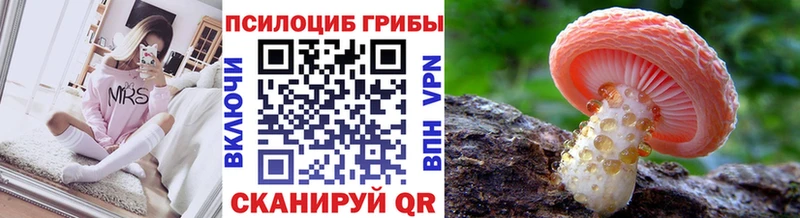 наркотики  Елабуга  Галлюциногенные грибы Magic Shrooms 